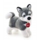 Husky Marcus - Trudi 22271